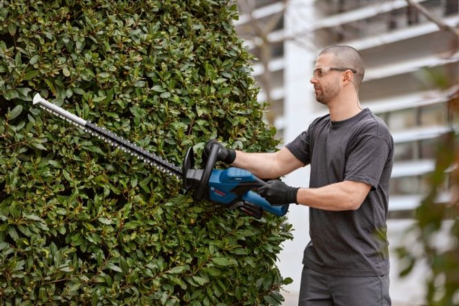 Hovedbilde Bosch Hekksaks GHE 18V-60 60CM Solo